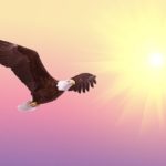 Dreams About Eagles – Interpretation and Meaning