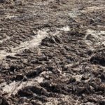 Dreams About Mud – Interpretation and Meaning