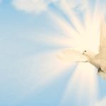 Spiritual Meaning of White Dove Flying In Front of You