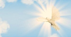 Spiritual Meaning of White Dove Flying In Front of You