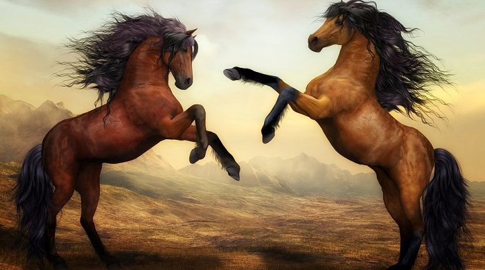 biblical-meaning-of-horses-in-dreams-interpretation-and-meaning