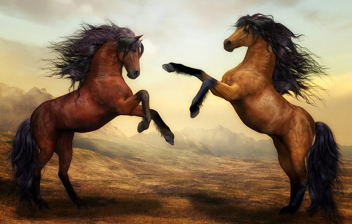 biblical meaning of horses in dreams – interpretation and