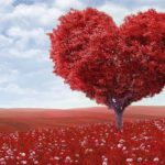 Dreams About Falling in Love – Meaning and Symbolism