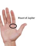 Mount of Jupiter Palmistry – Reading and Meaning